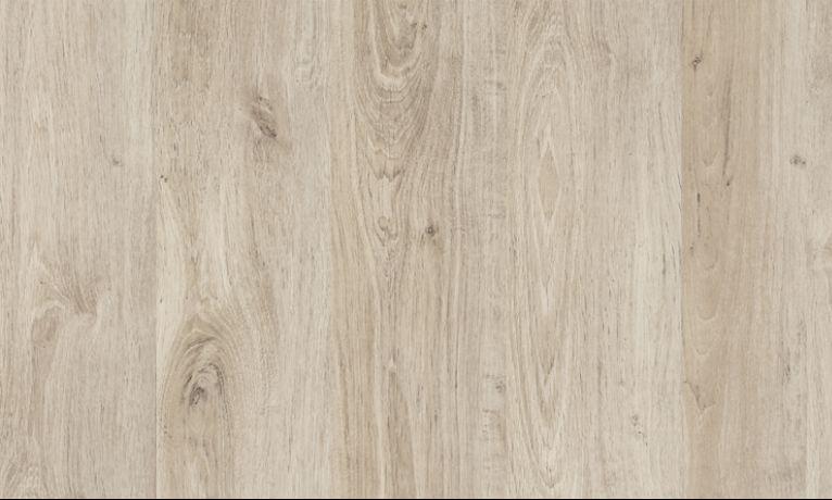 Carvalho Dover_linha  Studio