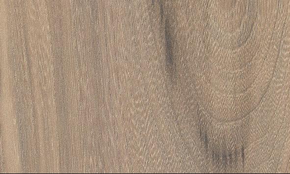 Elmo Macciato_linha Elegance