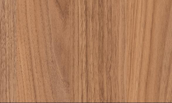 Nogueira Málaga_linha Evidence