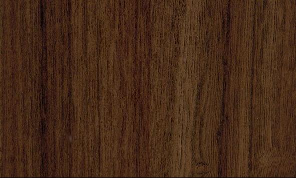 Castanho Velasquez_linha Evidence